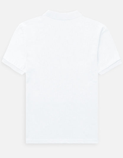 Back_3_c_1.jpg