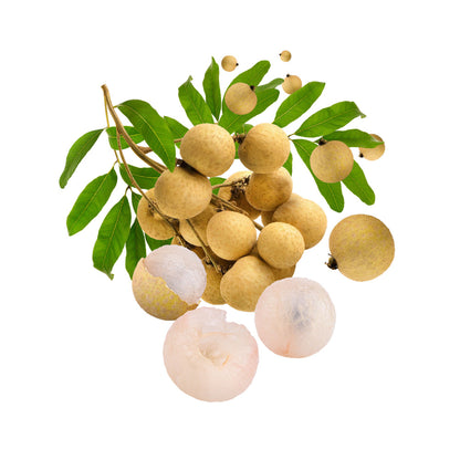 Longan With Leaves Isolated Alpha Layer