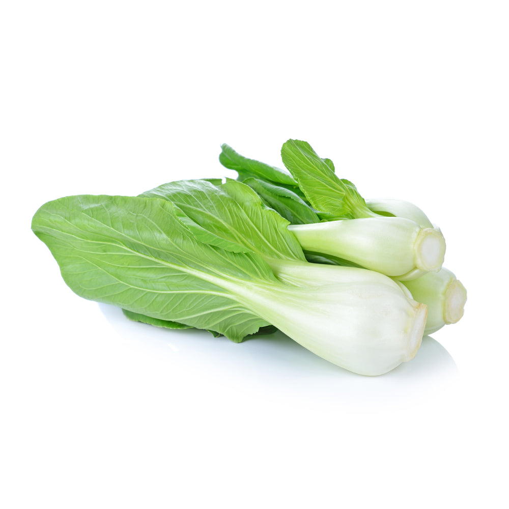 Bok Choy Chinese Cabbage Isolated