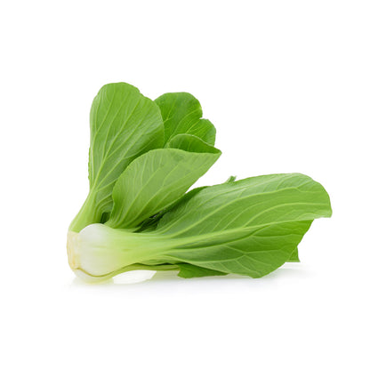 Bok Choy Chinese Cabbage Isolated