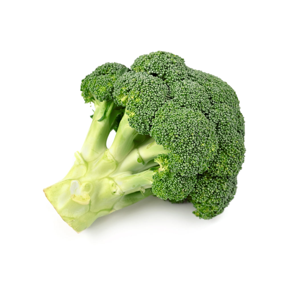 Broccoli Isolated