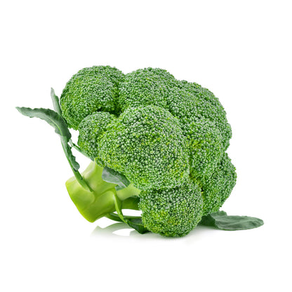 Broccoli Isolated