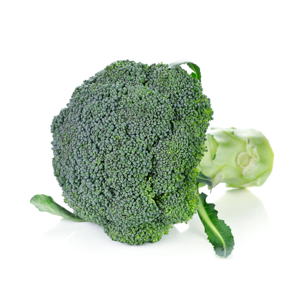 Broccoli Isolated