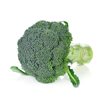 Broccoli Isolated