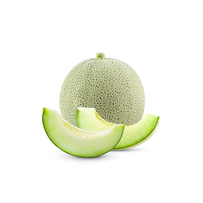 Fresh melon isolated