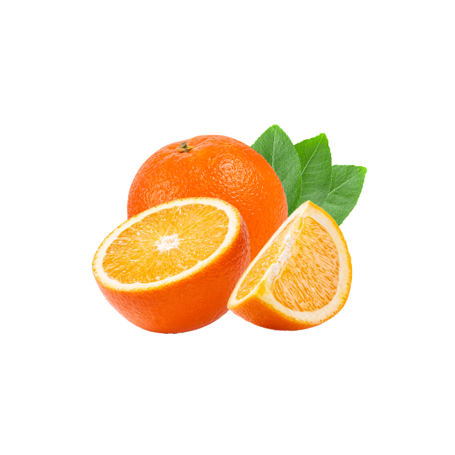 Fresh melon isolated