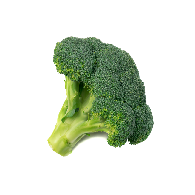 Fresh cockles natural
