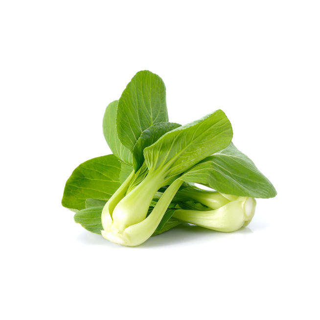 Fresh sweet corn isolated