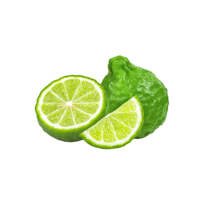 Fresh melon isolated