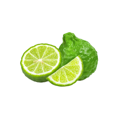 Fresh melon isolated