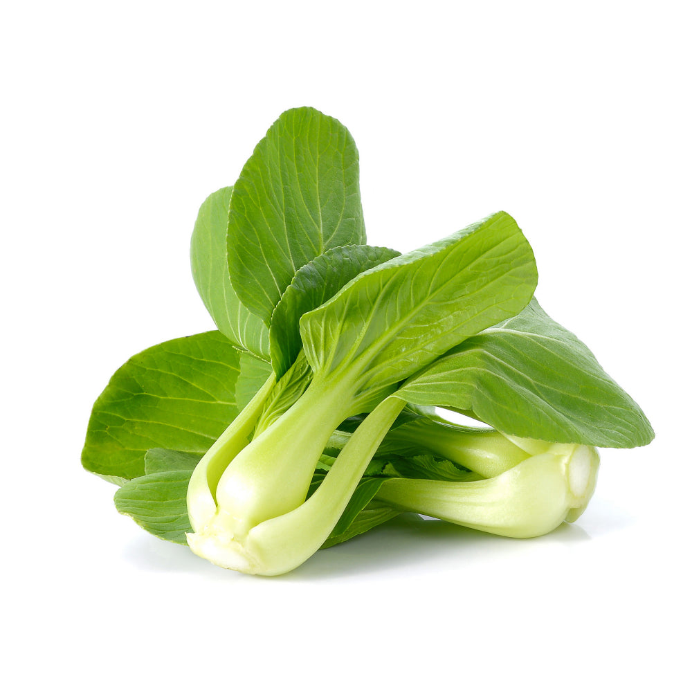 Bok Choy Chinese Cabbage Isolated